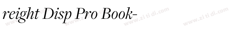 reight Disp Pro Book字体转换